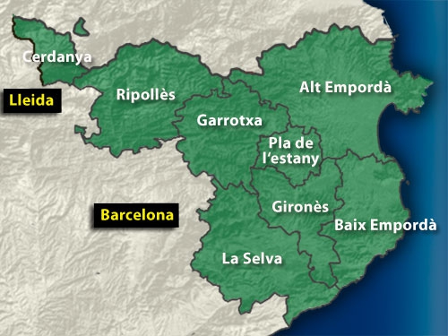 Servei tècnic de caixes fortes a Girona
